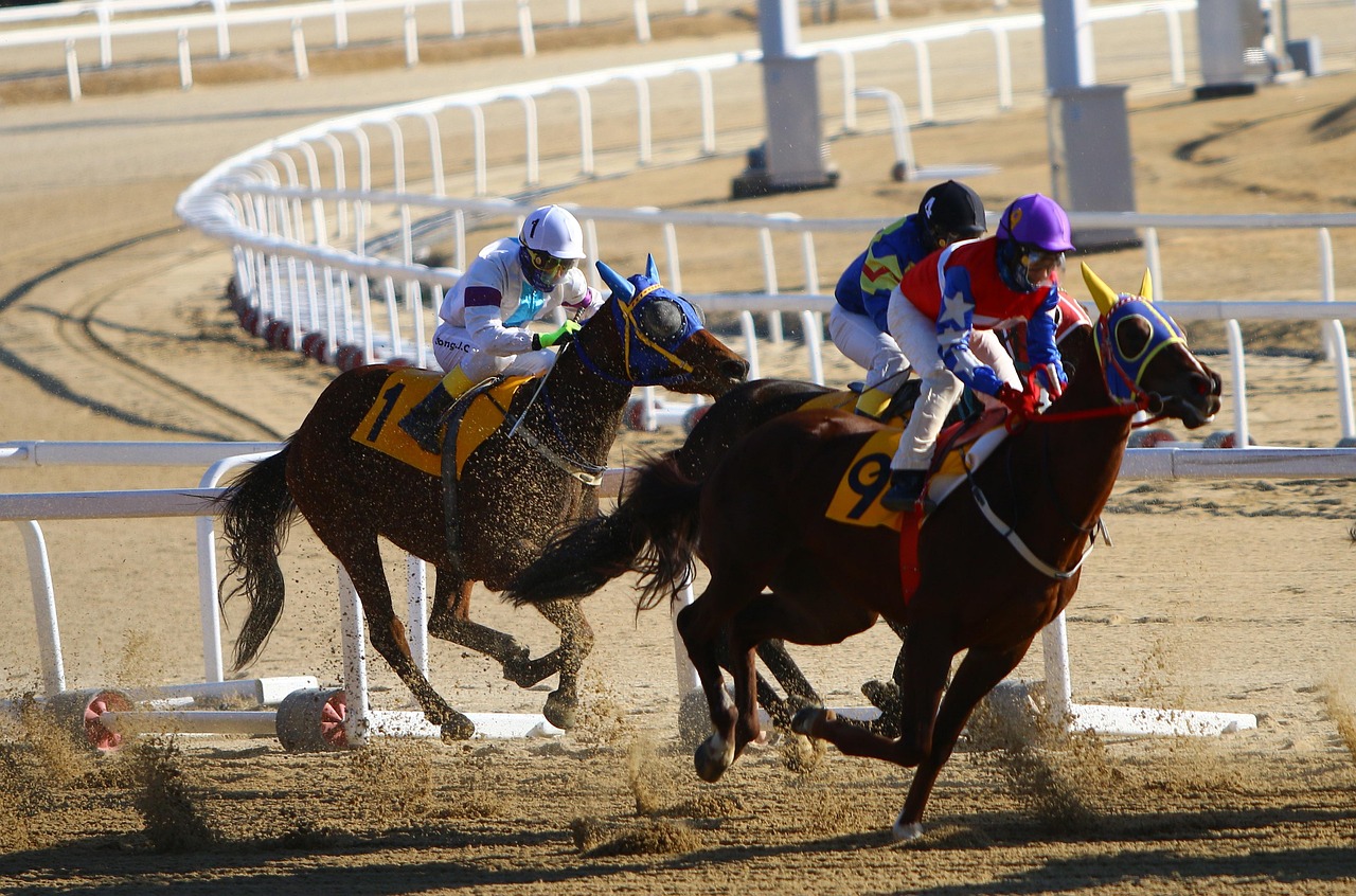 Licensed Indian Horse Racing Betting Review 2026: Bonus, App, Withdrawal Tested